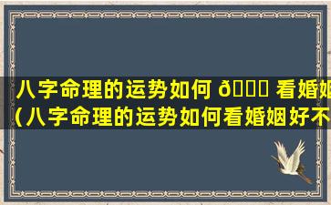 八字命理的运势如何 💐 看婚姻（八字命理的运势如何看婚姻好不好）